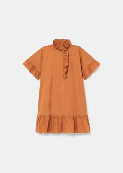 TARA JARMON Ripoline Brown Crisp Poplin Dress Best Sale