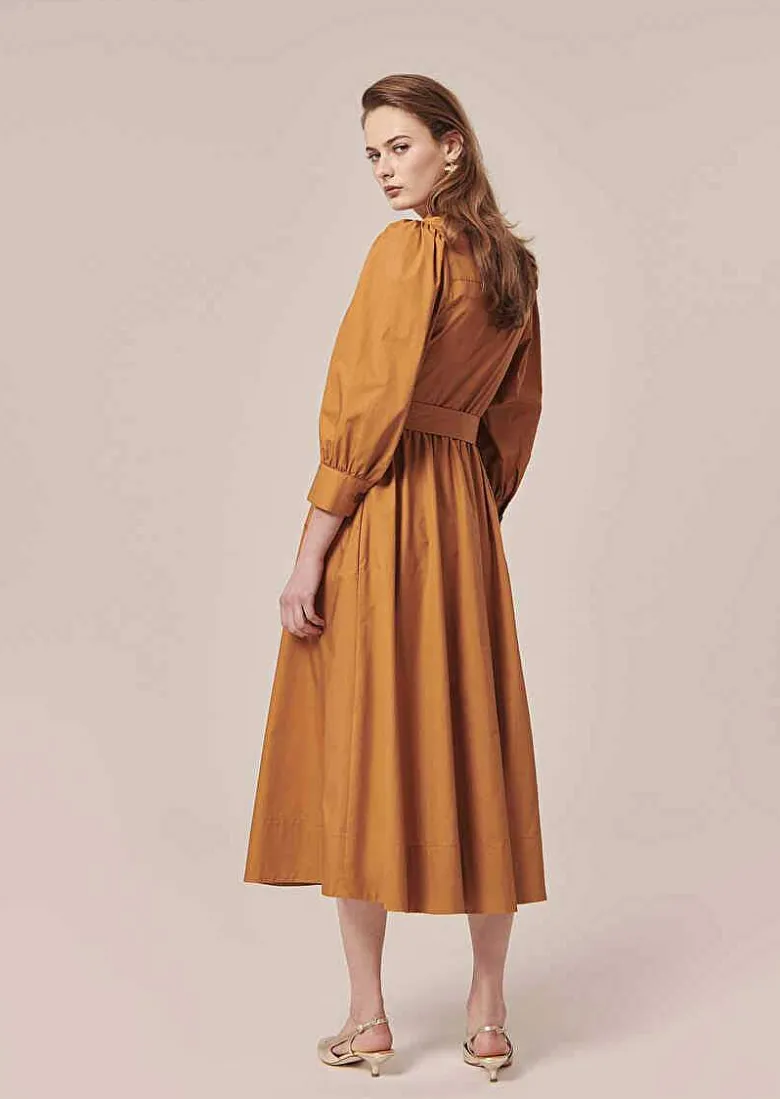 TARA JARMON Rivoltine Brown Crisp Poplin Dress Hot