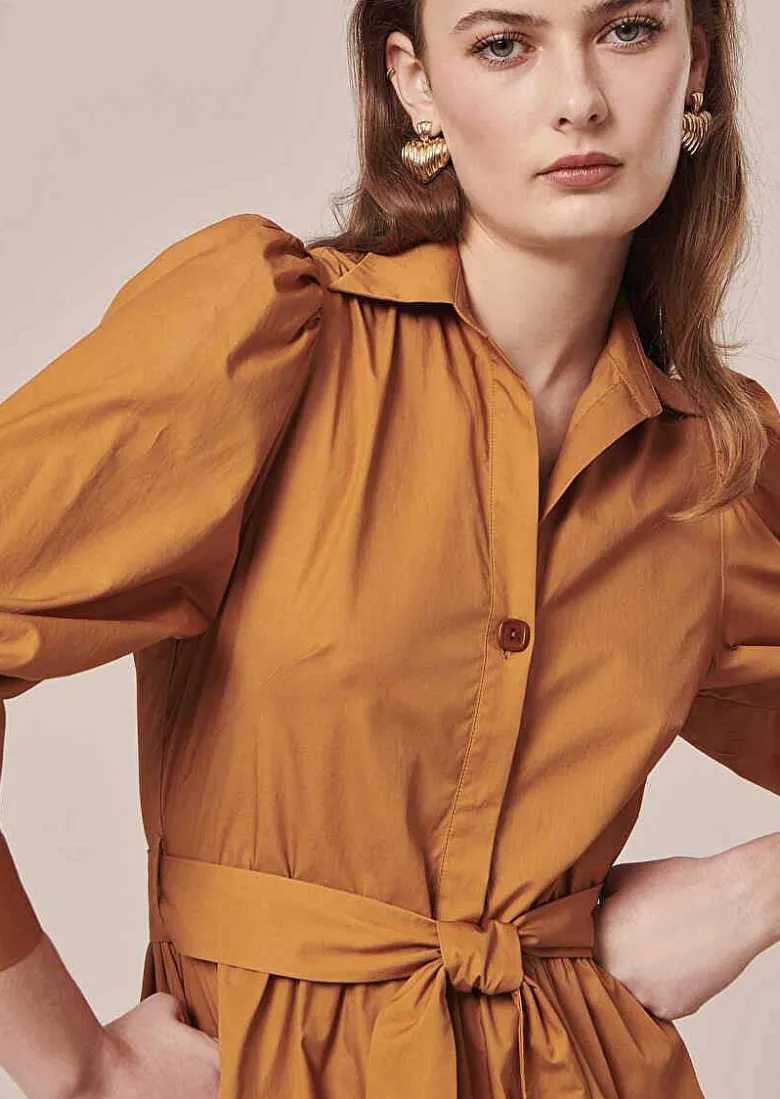TARA JARMON Rivoltine Brown Crisp Poplin Dress Hot